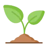 Growth
